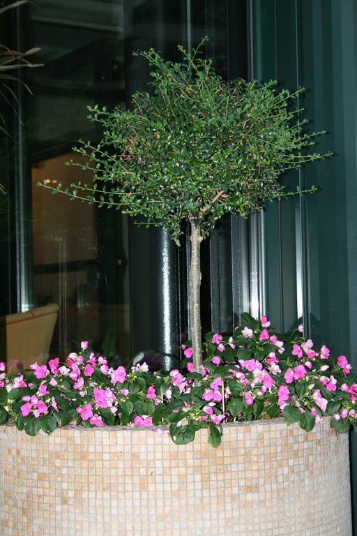 Hotel La Perla Roseto Degli Abruzzi Luaran gambar